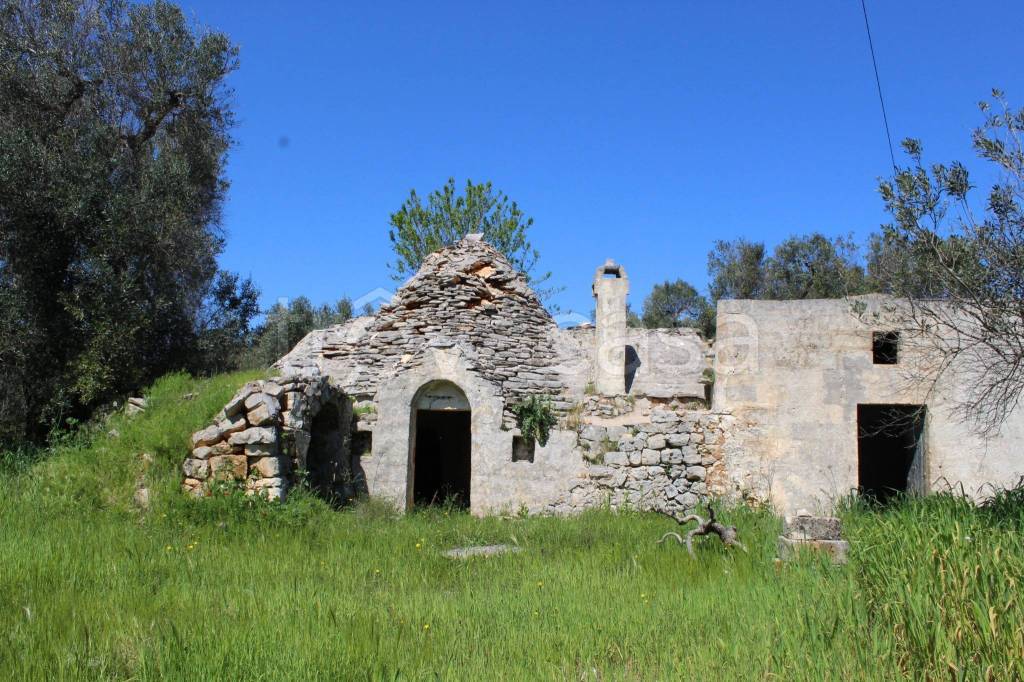 immagine annuncio 12 di 13