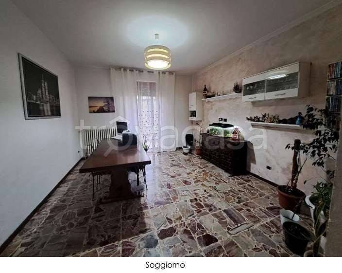 immagine annuncio 3 di 14