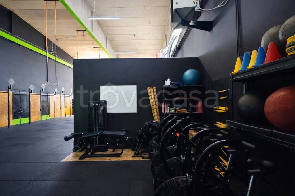 immagine annuncio 5 di 15