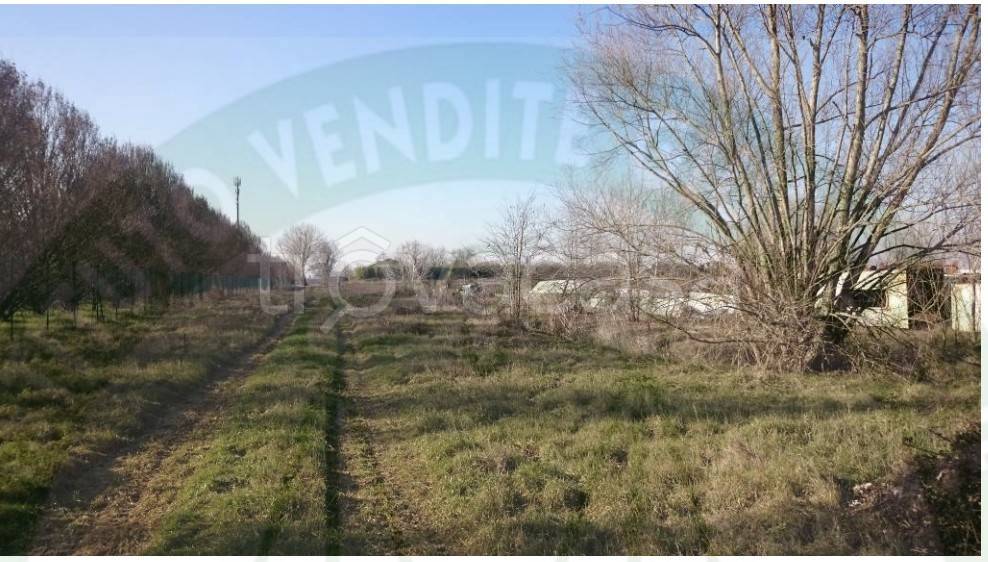 immagine annuncio 1 di 8