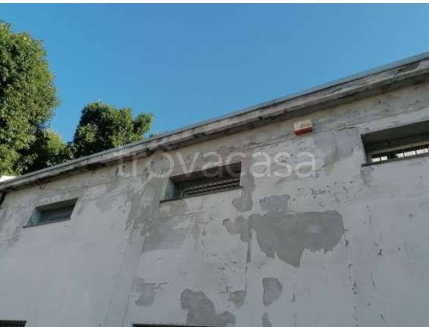 immagine annuncio 1 di 8