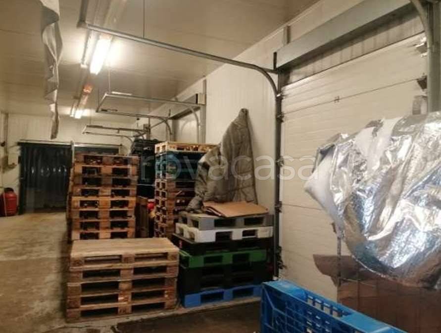 immagine annuncio 3 di 8