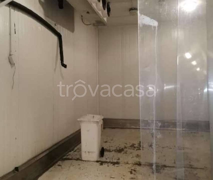 immagine annuncio 4 di 8