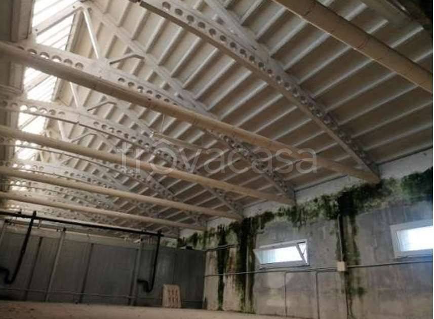 immagine annuncio 5 di 8