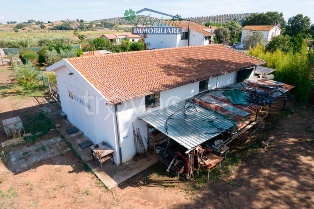 immagine annuncio 10 di 12