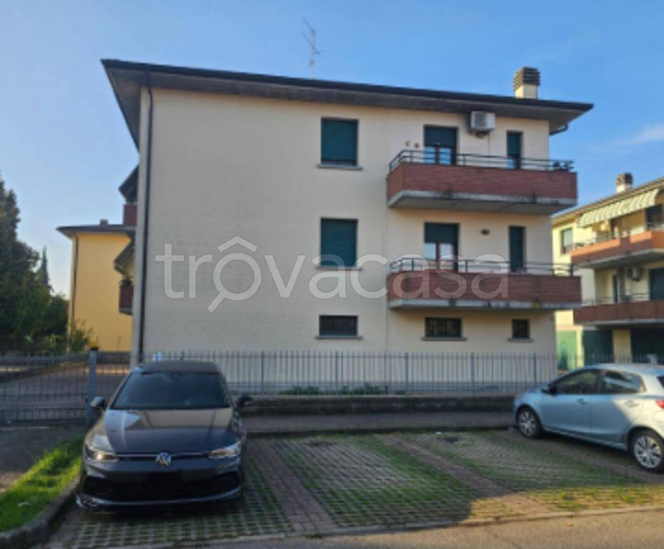 immagine annuncio 2 di 12