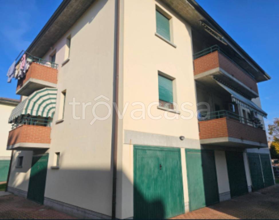 immagine annuncio 3 di 12