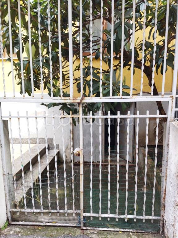 immagine annuncio 12 di 14