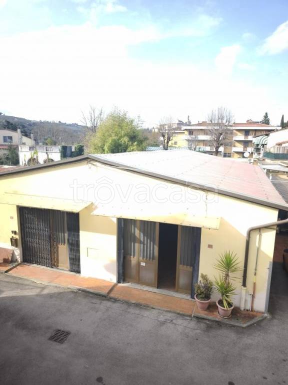 immagine annuncio 4 di 9