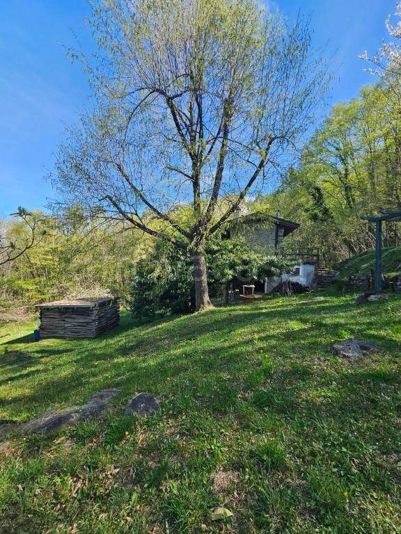 immagine annuncio 7 di 11