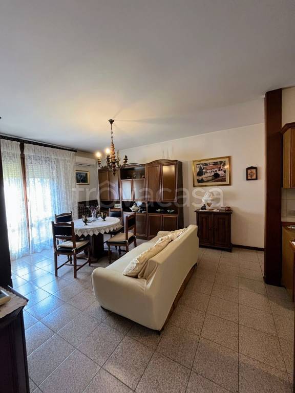 immagine annuncio 3 di 12