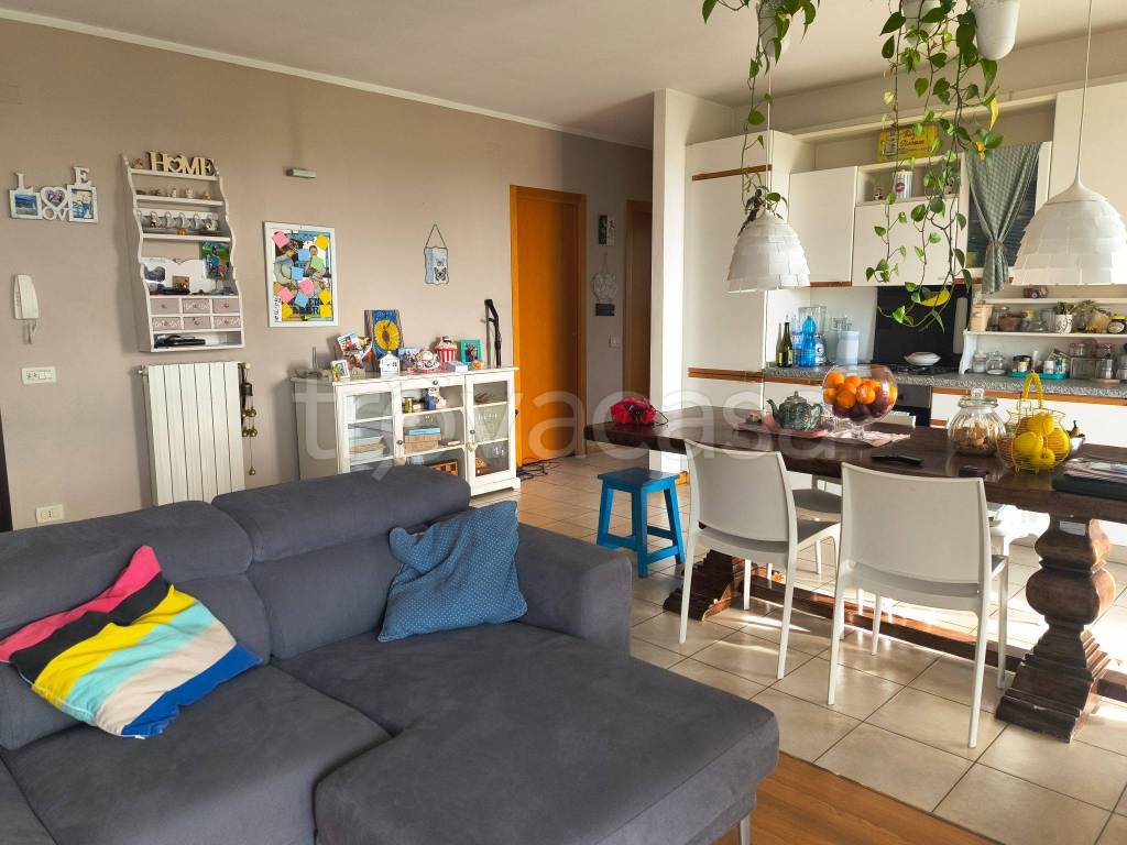 immagine annuncio 5 di 15