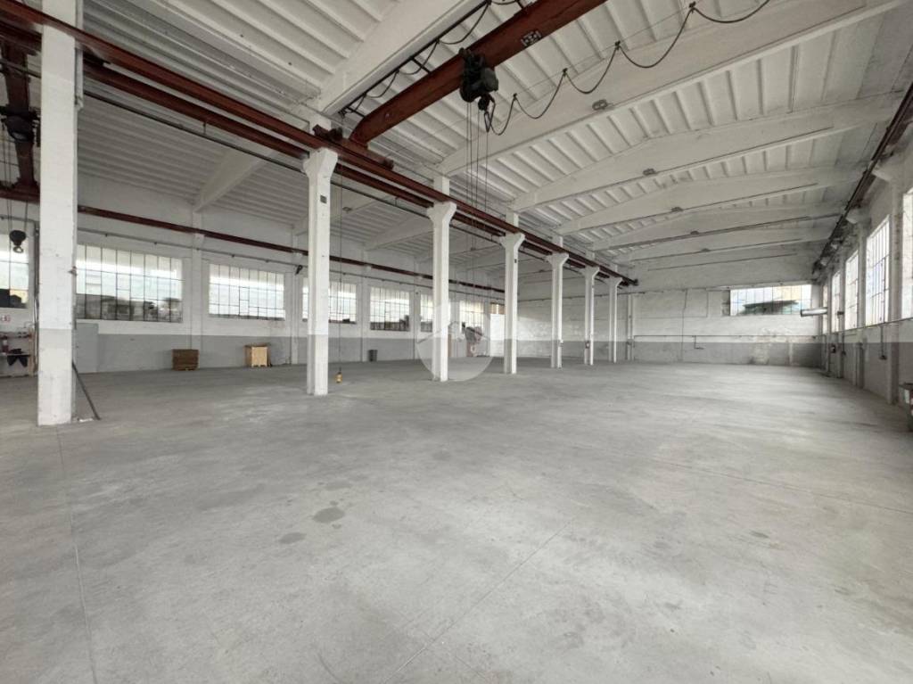 immagine annuncio 2 di 12