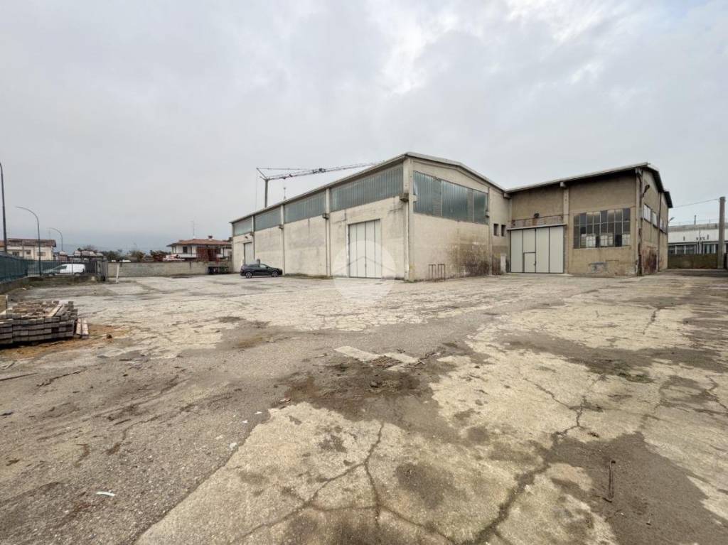 immagine annuncio 4 di 12