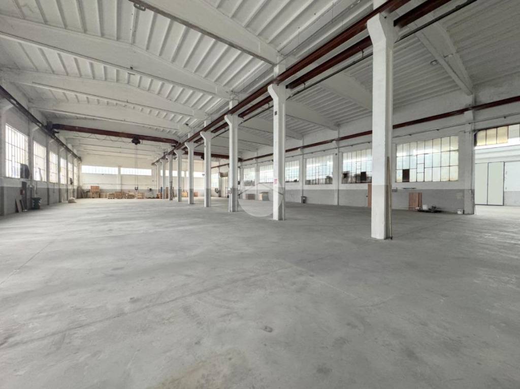 immagine annuncio 7 di 12