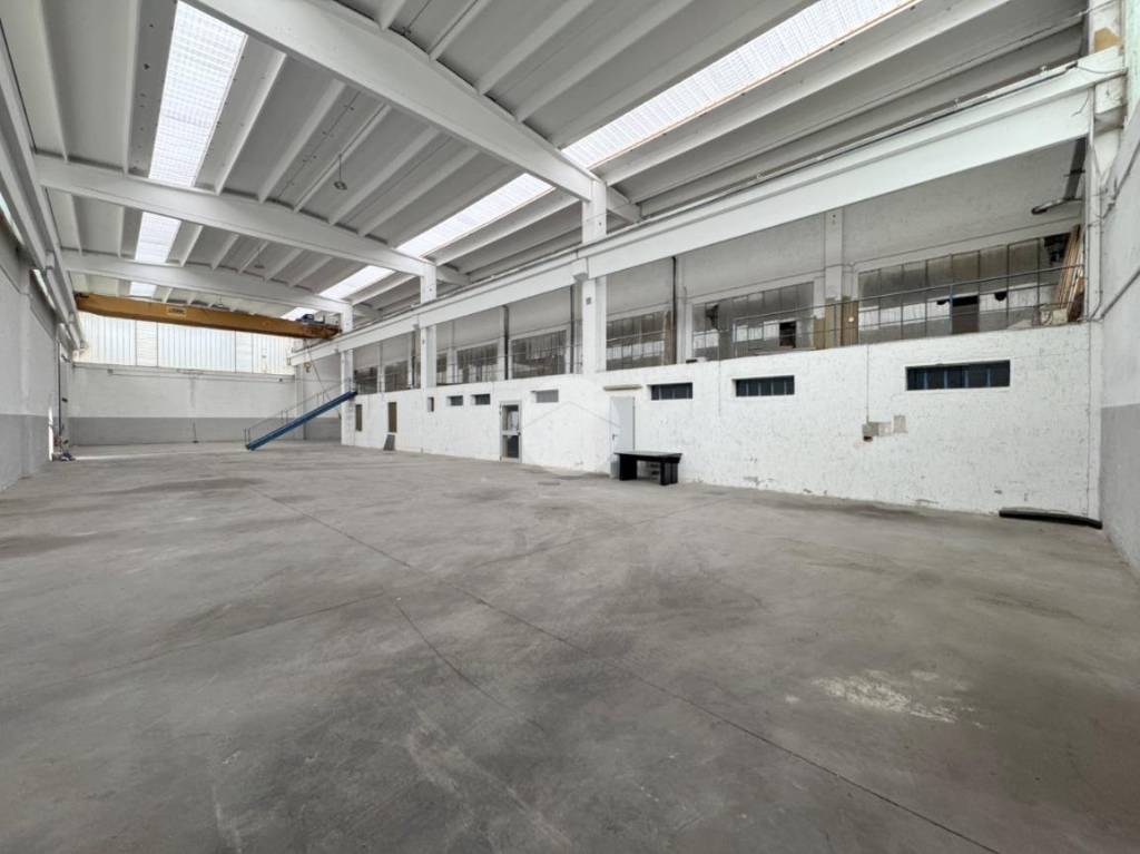 immagine annuncio 9 di 12