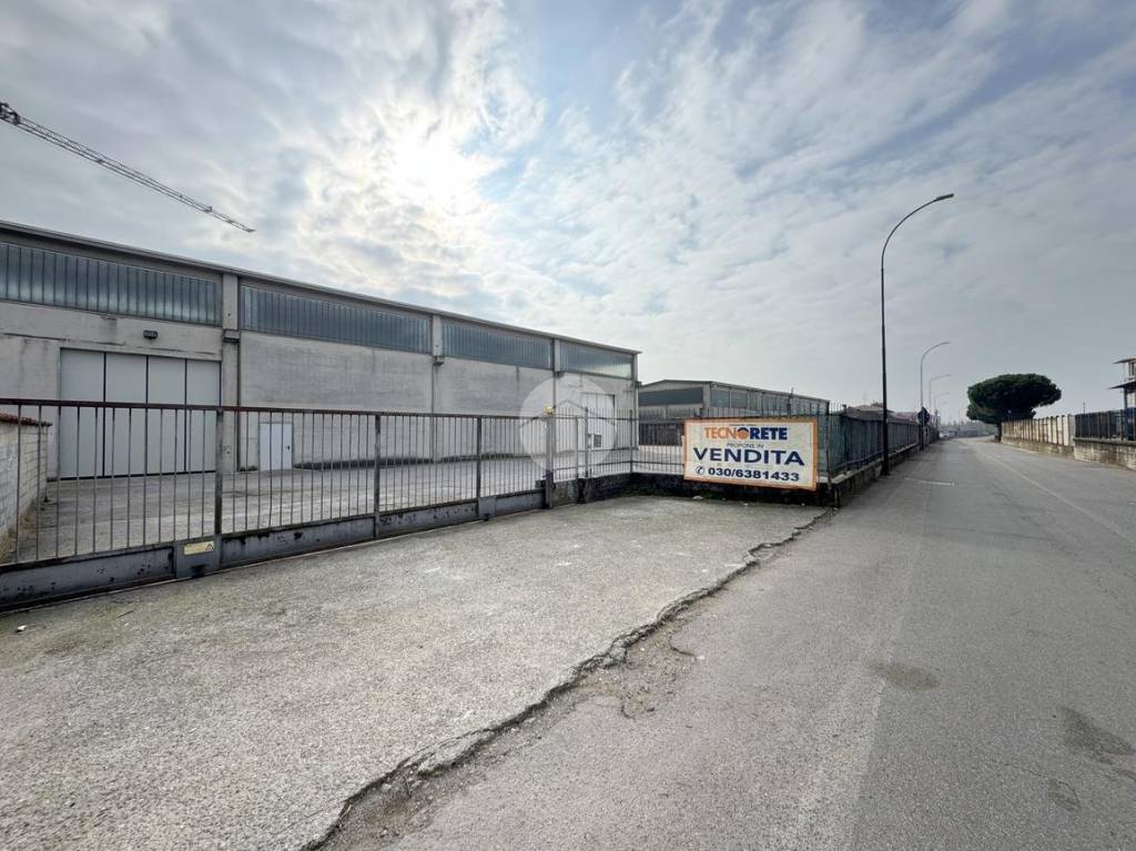 immagine annuncio 10 di 12