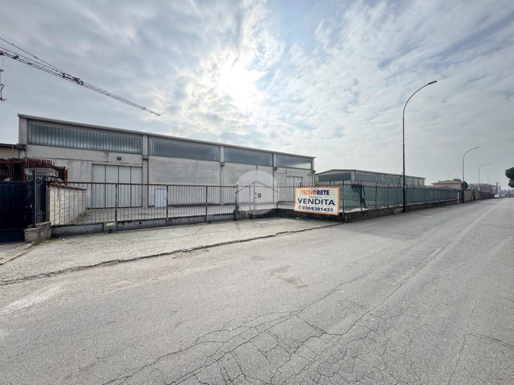 immagine annuncio 11 di 12