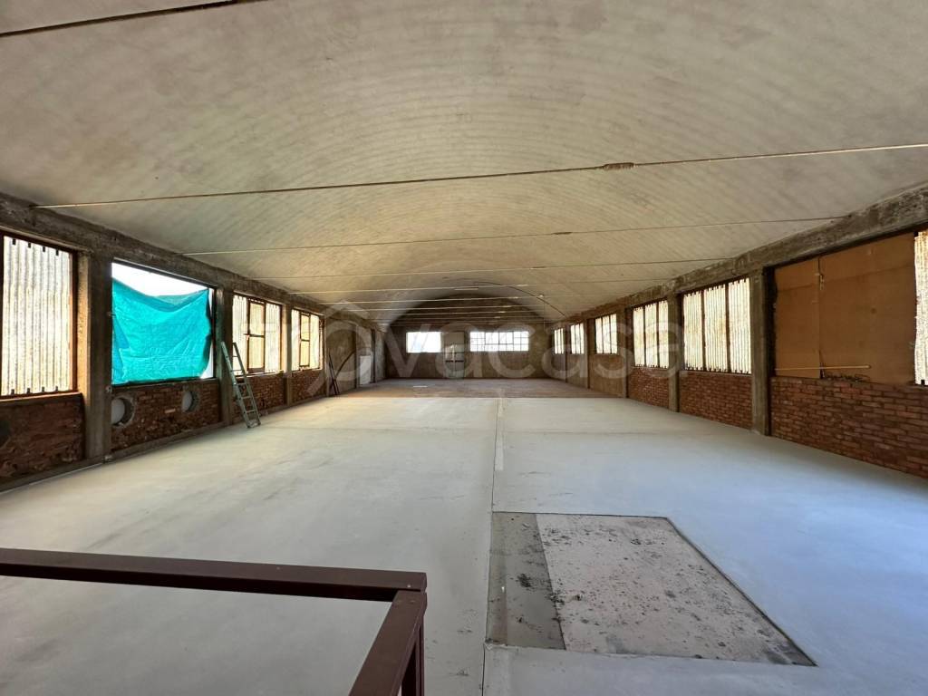 immagine annuncio 4 di 12