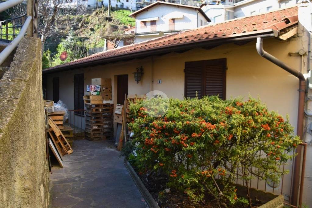 immagine annuncio 12 di 14