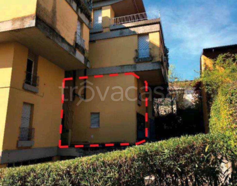 immagine annuncio 2 di 14