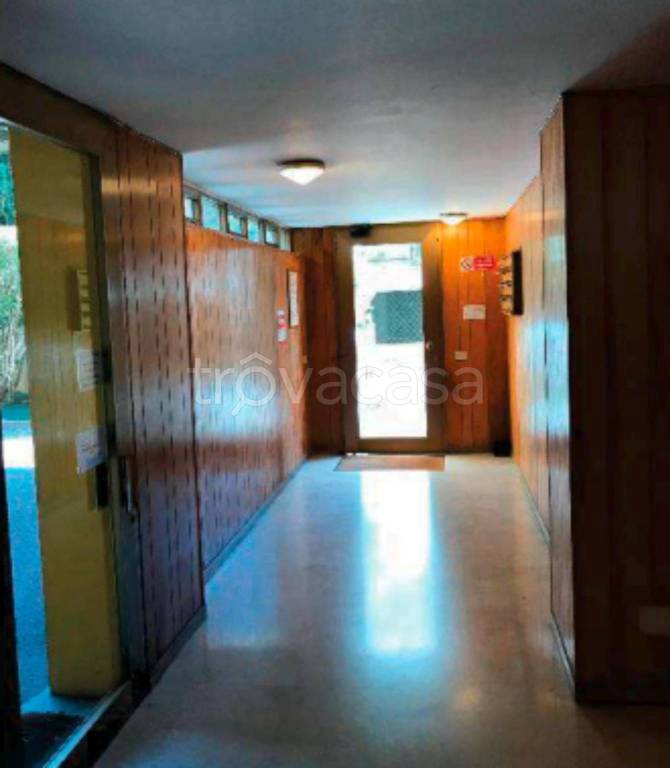 immagine annuncio 4 di 14