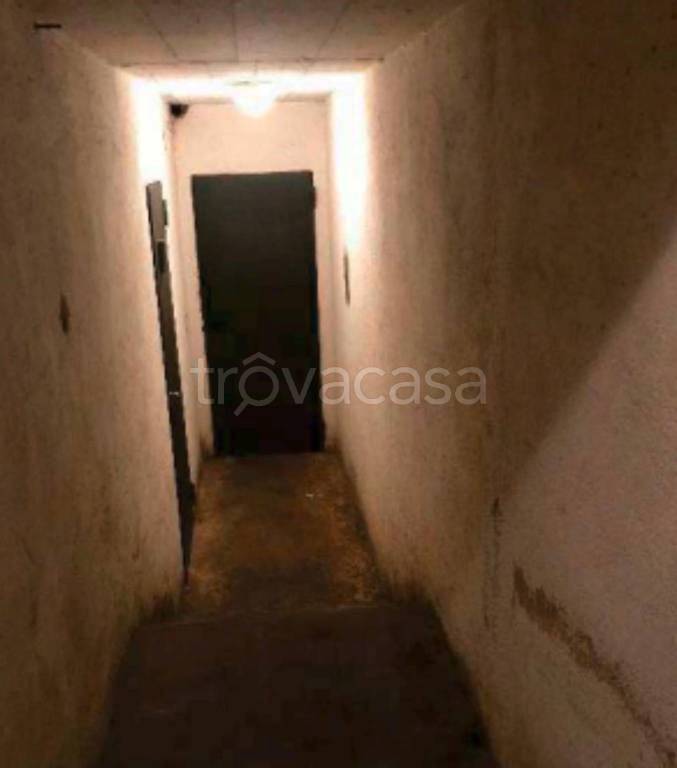 immagine annuncio 11 di 14