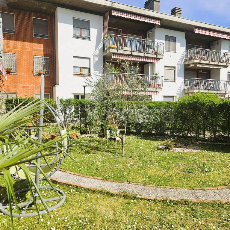 immagine annuncio 6 di 15