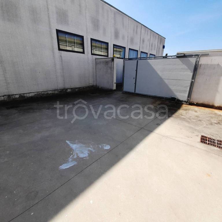 immagine annuncio 9 di 12