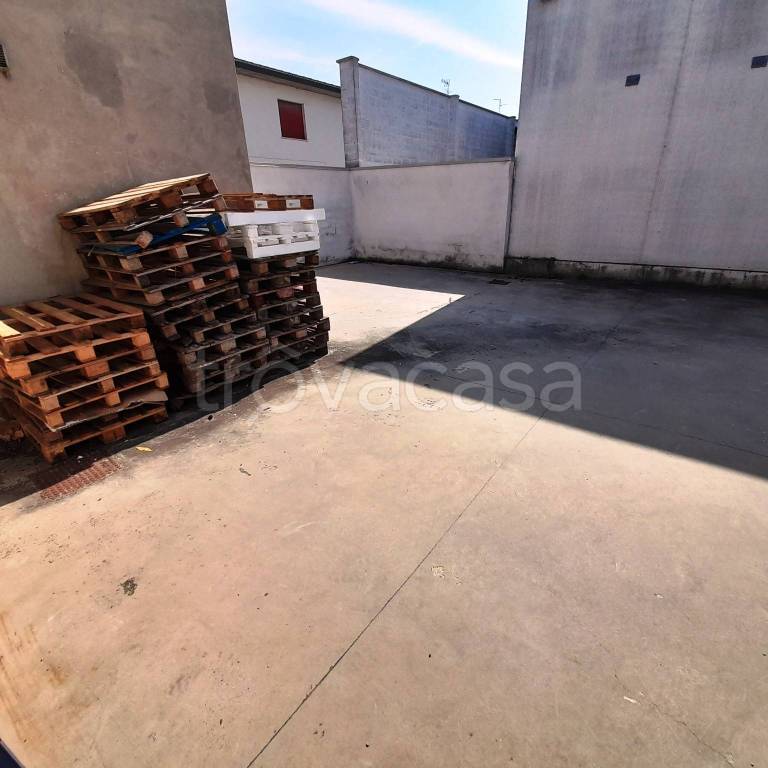 immagine annuncio 10 di 12