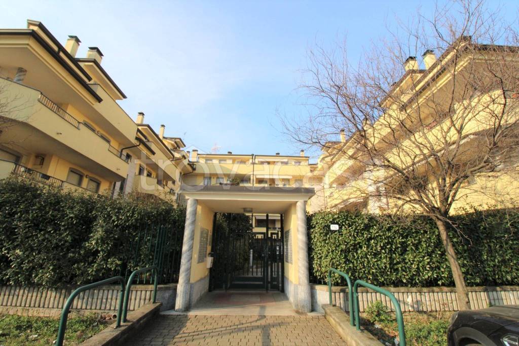 immagine annuncio 2 di 15