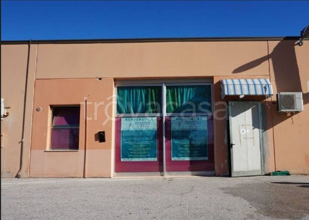 immagine annuncio 3 di 14