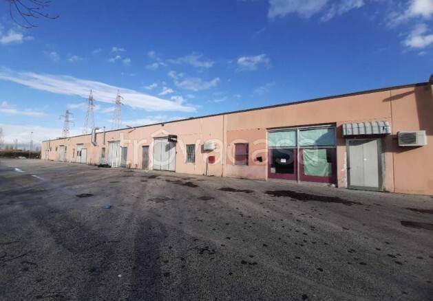 immagine annuncio 4 di 14