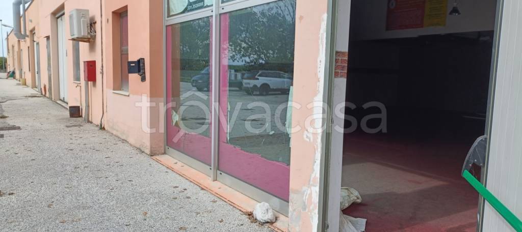 immagine annuncio 6 di 14