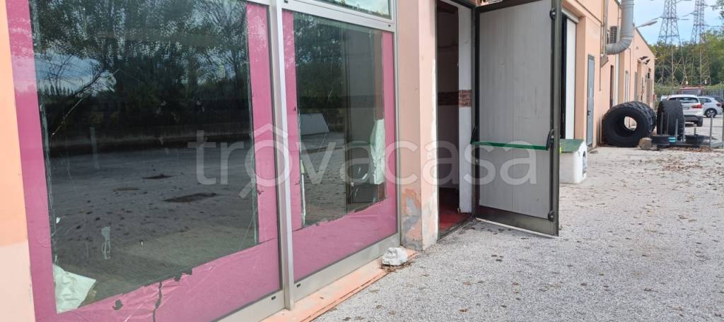 immagine annuncio 7 di 14