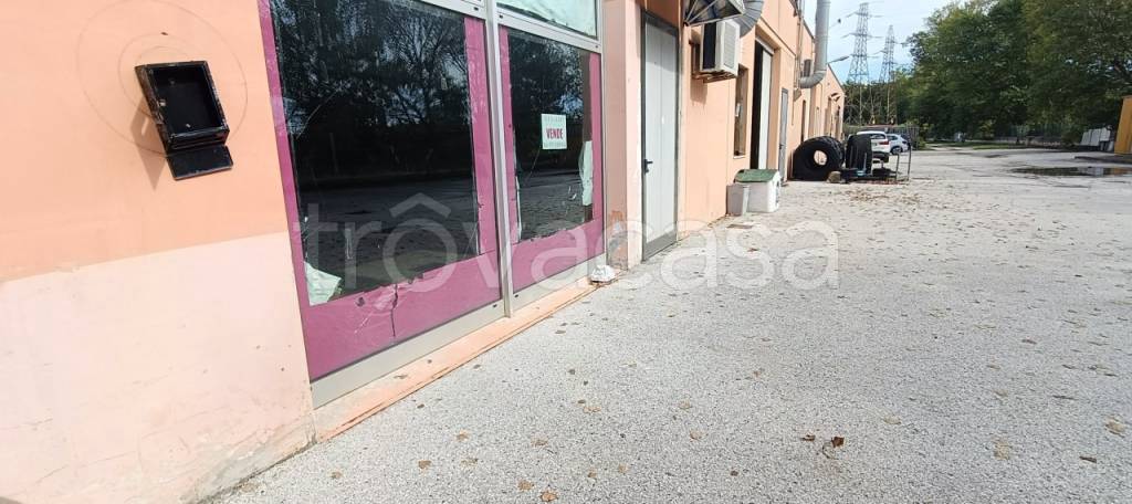 immagine annuncio 8 di 14