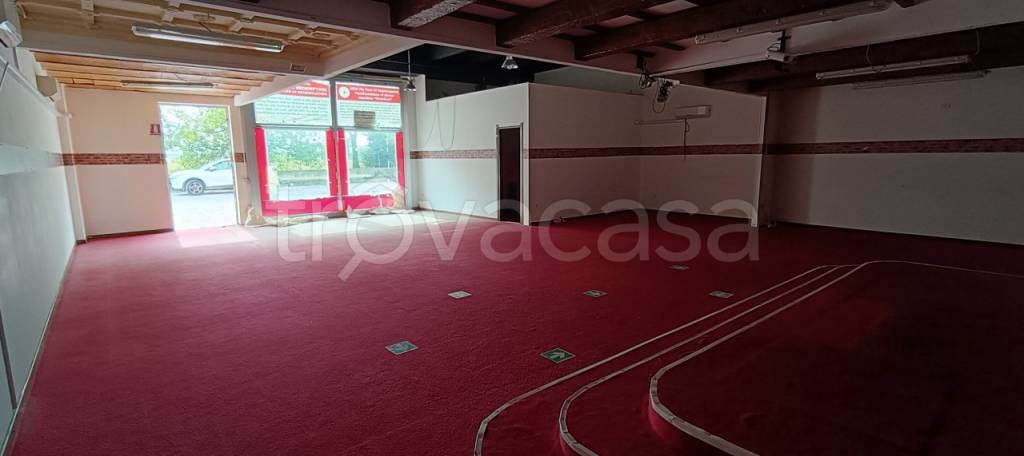 immagine annuncio 10 di 14