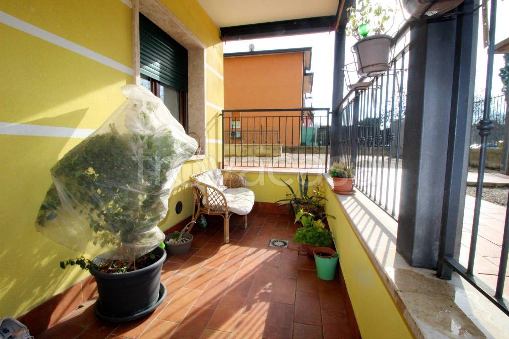 immagine annuncio 12 di 14