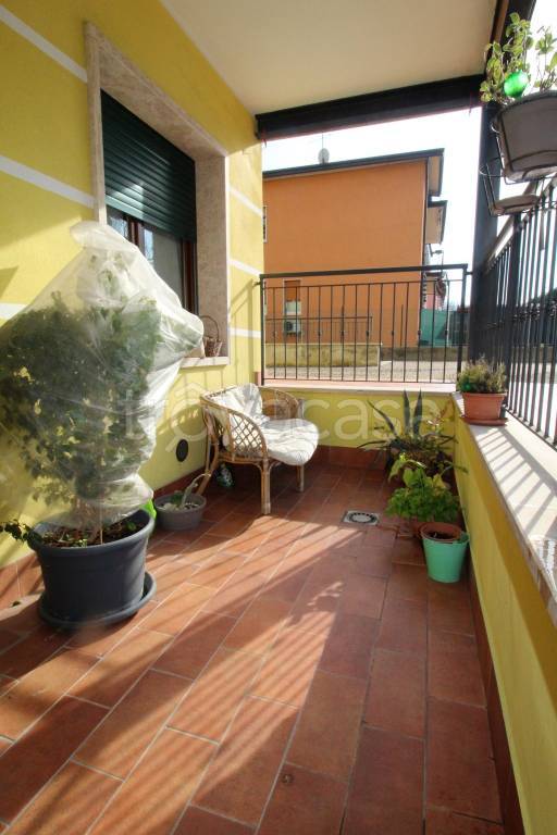 immagine annuncio 11 di 14