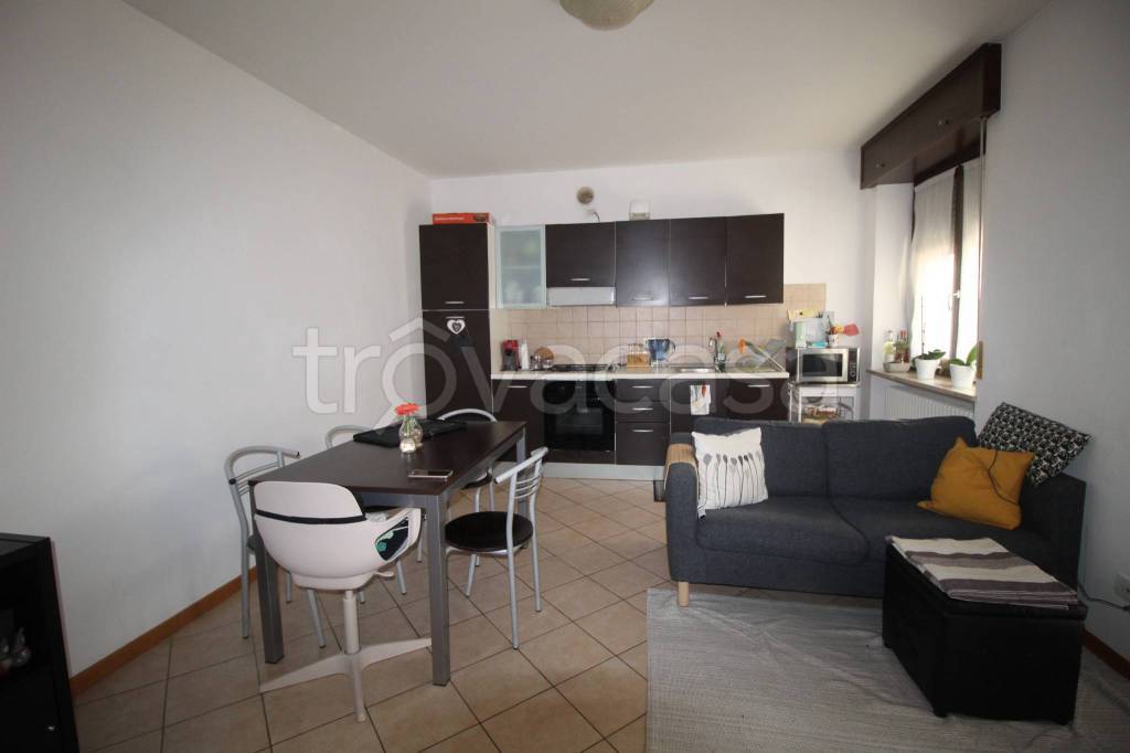 immagine annuncio 1 di 14