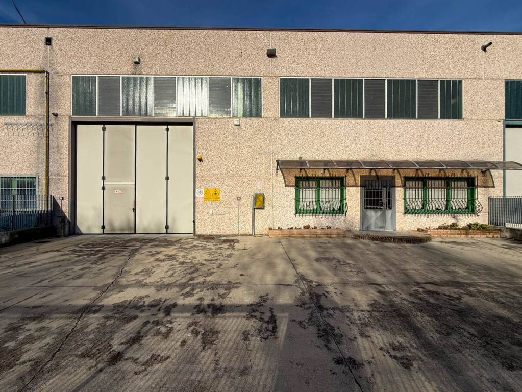 immagine annuncio 1 di 15