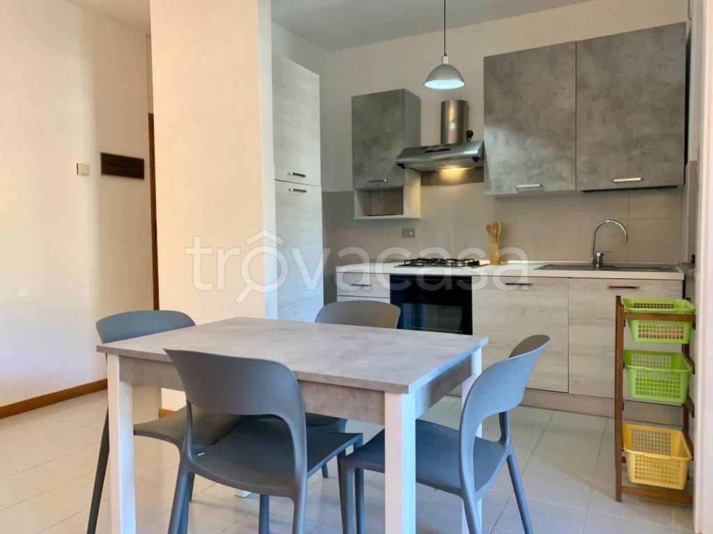 immagine annuncio 5 di 14