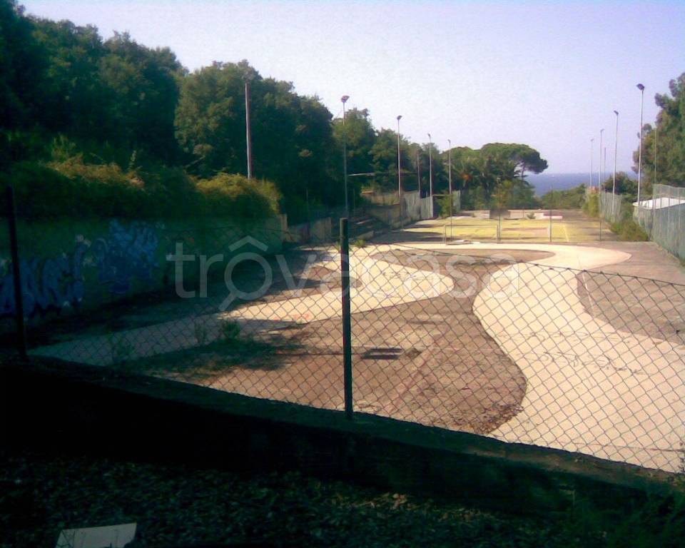 immagine annuncio 11 di 14