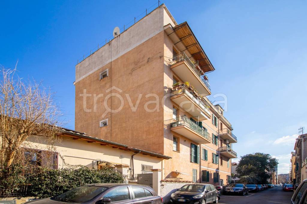 immagine annuncio 9 di 12