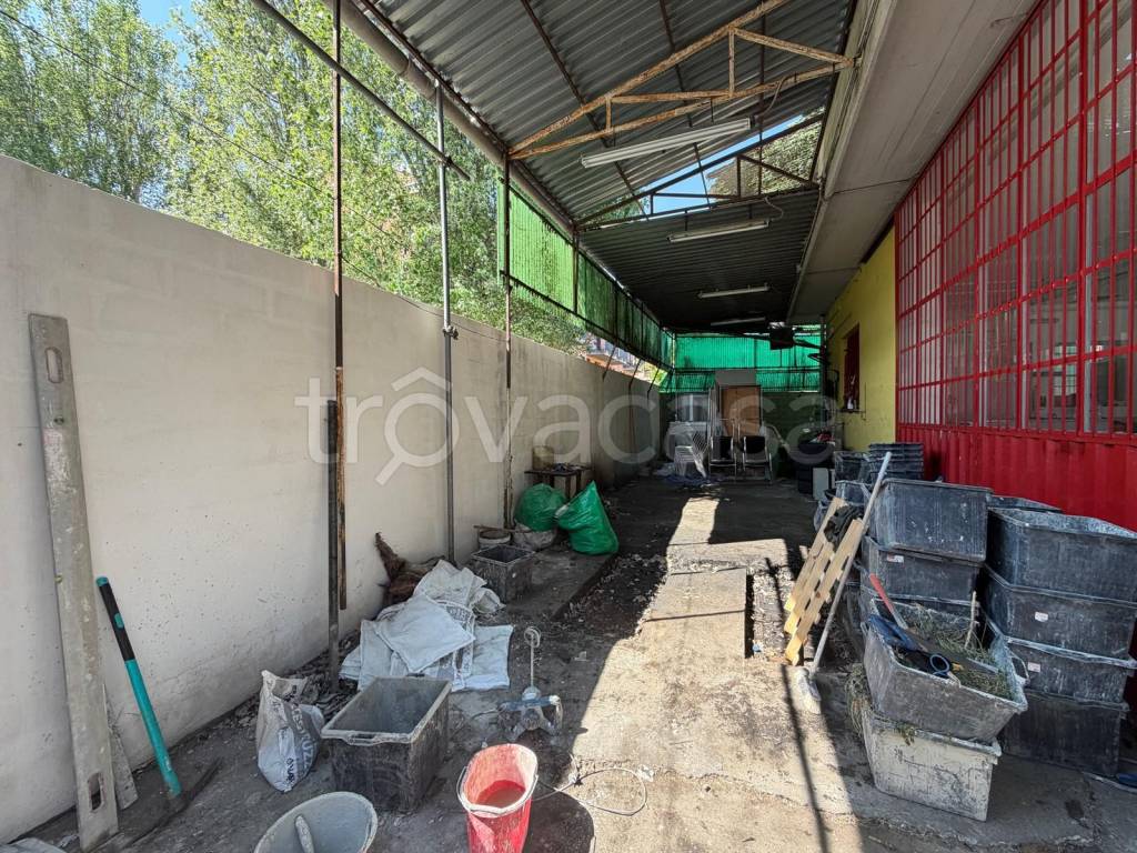 immagine annuncio 9 di 13