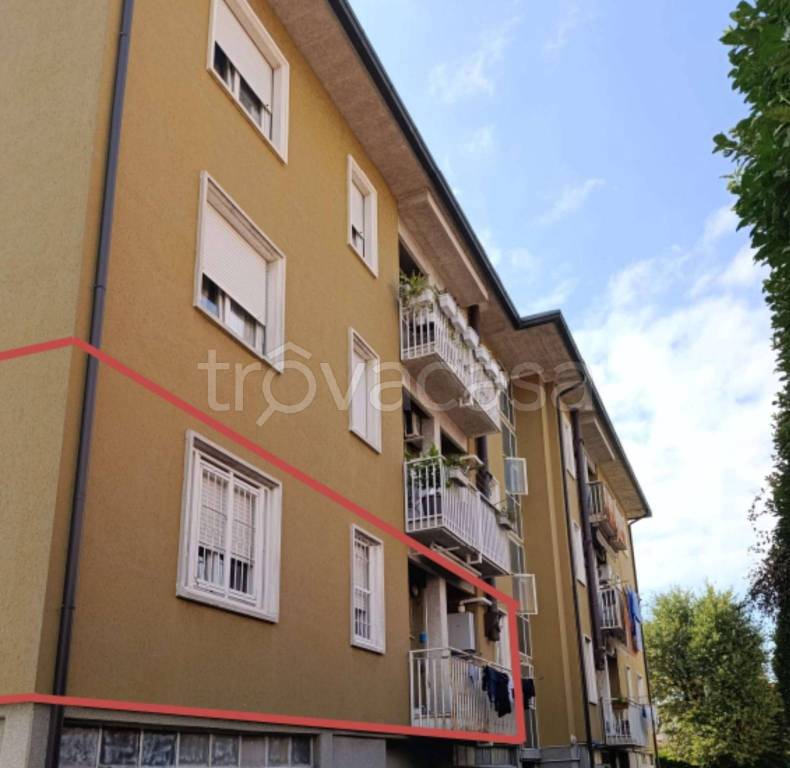 immagine annuncio 3 di 11