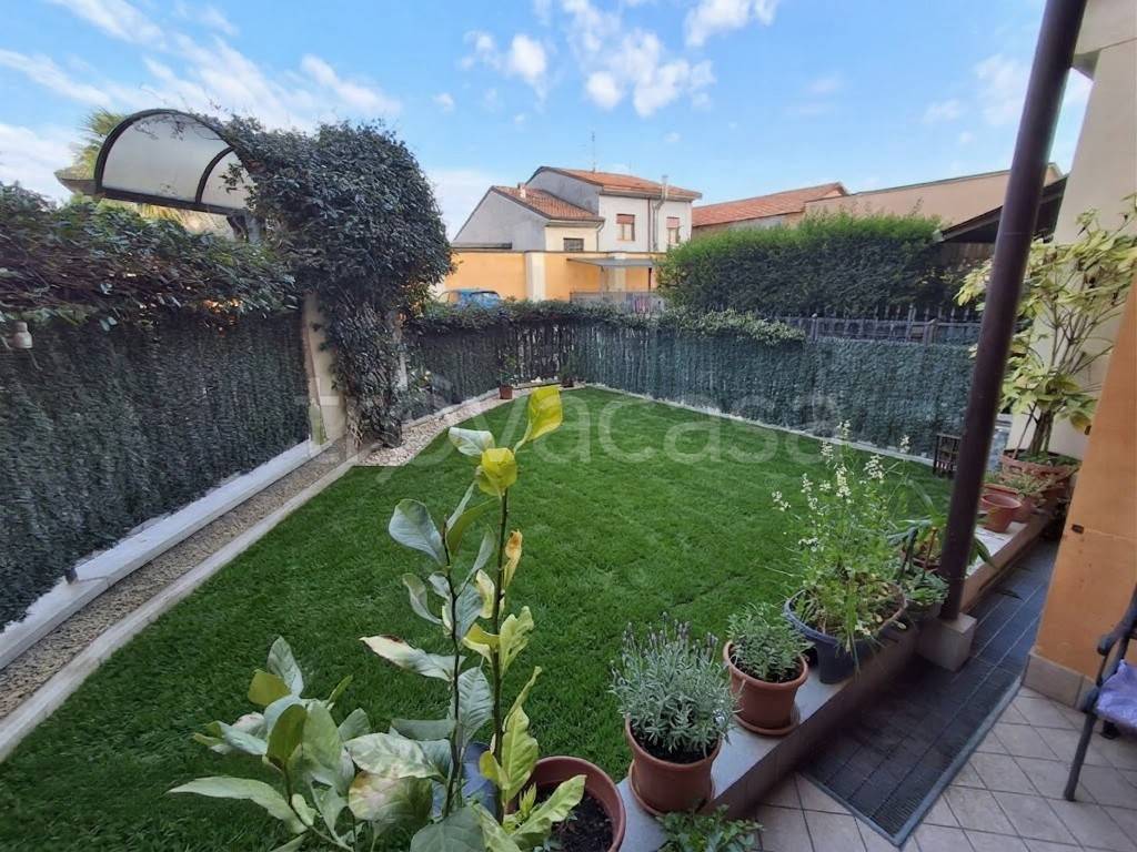 immagine annuncio 8 di 15