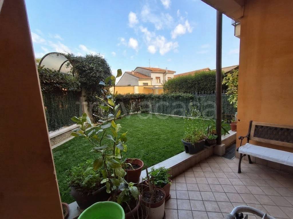 immagine annuncio 9 di 15