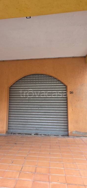 immagine annuncio 3 di 14