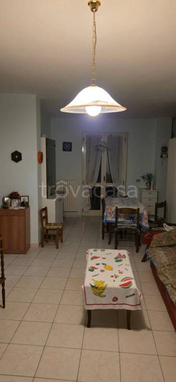 immagine annuncio 6 di 14